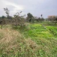 زمین-200-متری-کندسر