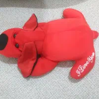 سگ شنی کاملا سالم ونو