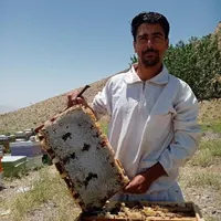 عسل 100%طبیعی بدون شکر و افزودنی|خوردنی و آشامیدنی|مشهد, چهارچشمه|دیوار