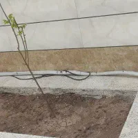 لوله مسی کولر گازی ۵ متری