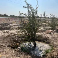 350-متر-زمین-بحر-جاده-اصلی