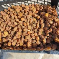 آلو بخارا آفتاب خشک بروجرد