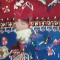 قالیچه دست بافت|فرش|دورود, |دیوار