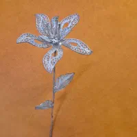 ۶ عدد شاخه گل نقره