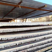 قالیشویی نظیف با ضمانت|خدمات نظافت|رفسنجان, |دیوار