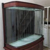 اکواریوم خارجی|ماهی|مشهد, فرهنگیان (شهرک غرب)|دیوار