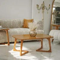 مبلمان روشانا جدیدترین مدل سال|مبلمان خانگی و میز عسلی|مشهد, کوشش|دیوار