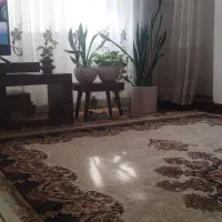 گل گل گل گل|گل و گیاه طبیعی|شهریار, رزکان|دیوار