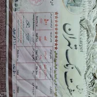 فرش ماشینی ۱۲ متری