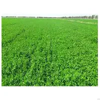 ۸ هکتار زمین کشاورزی آبیاری بارانی