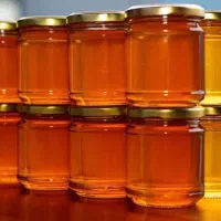 عسل صددرصد طبیعی وخالص درمانی کوهی وکوهستان به شرط|خوردنی و آشامیدنی|کن, |دیوار