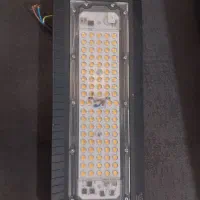 کبوتر معاوضه|پرنده|شیراز, کوشک میدان|دیوار