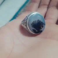 انگشتر شجرهای کلکسیونی و اشیای عتیقه|کلکسیون اشیاء عتیقه|قوچان, |دیوار