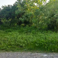 ۵۰۰مترزمین مسکونی/برای ساخت ویلا/اشمان کماچال|فروش زمین و ملک کلنگی|آستانه اشرفیه, |دیوار