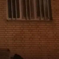 فروش پنجره رنگ شده، بدون زنگ زدگی، سالم ، با حفاظ