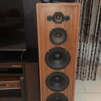 باند پایونیر