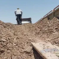 کود مرغی سالنی گوشتی  مستقیم از مرغداری