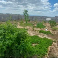 زمین ۵۰۰متری مجتمع الماس،انتهای طبرسی یا پنجتن|فروش خانه و ویلا|مشهد, رده|دیوار