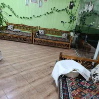 شاگرد کبابی