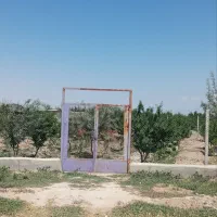 باغ