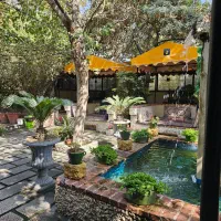 مدیر سالن و ویتر