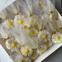 شمع|صنایع دستی و سایر لوازم تزئینی|شاهرود, |دیوار