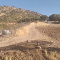 زمین|فروش زمین و ملک کلنگی|جوانرود, |دیوار