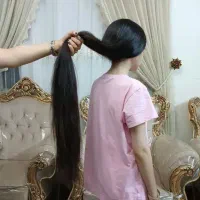 موبلتد