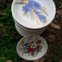 ۳۰عدد بشقاب ۴۰ عدد کاسه خورشت خوری|ظروف سرو و پذیرایی|ماکلوان, |دیوار