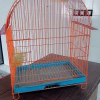 قفس پرنده سالم