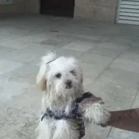 فروش فوری قیمت ۴