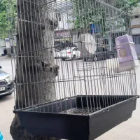 ۲عدد قفس پرنده بزرگ و کوچک