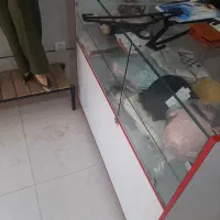 ویترین، رگال ، مایکن،