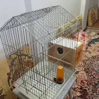 قفس پرنده