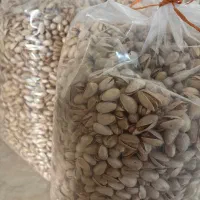 پسته درجه یک دامغان