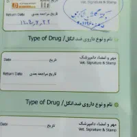 سگ تری یر زرنگ و بازی گوش دارای شناسنامه ۴/۵۰۰|سگ|مشهد, کشاورز|دیوار