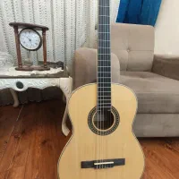 گیتار grape e310|گیتار، بیس، امپلیفایر|بوشهر, |دیوار