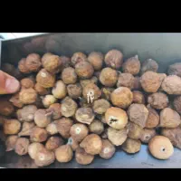انواع انجیر..|خوردنی و آشامیدنی|قم, آزادگان|دیوار