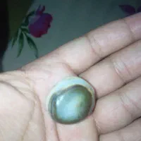 مهرع با قدمت بالا|کلکسیون اشیاء عتیقه|دهدشت, |دیوار