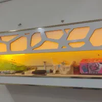 کانتر|دفتر کار|الشتر, |دیوار