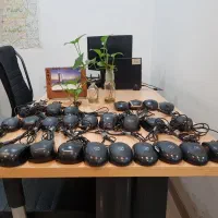 فروش تعدادی موس