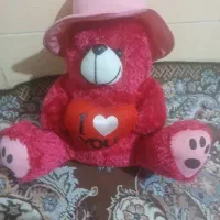 عروسک|اسباب‌بازی بچه|دوگنبدان, |دیوار