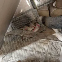 لوازم منزل فروش فوری زیر قیمت|حراج|شیراز, گویم|دیوار