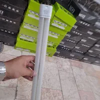 ۴۶ عدد مهتابی سالم