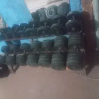 باشگاه بدنسازی ورزشی|تجهیزات ورزشی|سراجو, |دیوار