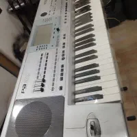 کیبورد|پیانو، کیبورد، آکاردئون|شیراز, کوشک میدان|دیوار