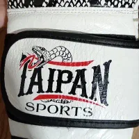 دسکش بوکس|تجهیزات ورزشی|چناران, |دیوار