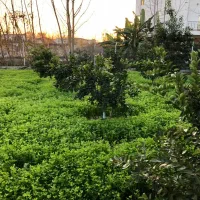 ۳هزارمتر زمین/دارای بنای نیمه کاره دوبلکس با استخر|فروش زمین و ملک کلنگی|سرخرود, |دیوار