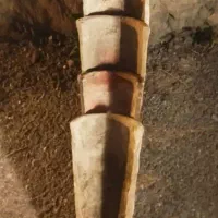 فروش چوب سالم|مصالح و تجهیزات ساختمان|گلوگاه, |دیوار