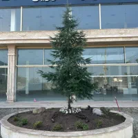 کلیه امور نگهداری و بهسازی ویلا و آپارتمان|خدمات نظافت|نوشهر, |دیوار